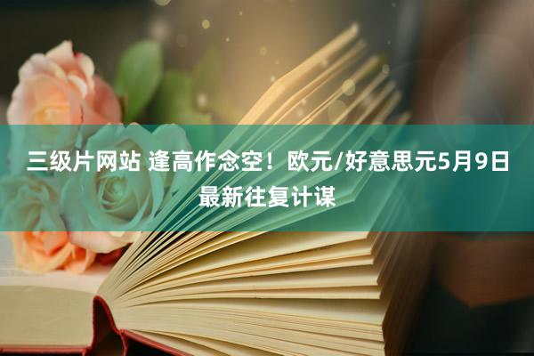 三级片网站 逢高作念空！欧元/好意思元5月9日最新往复计谋