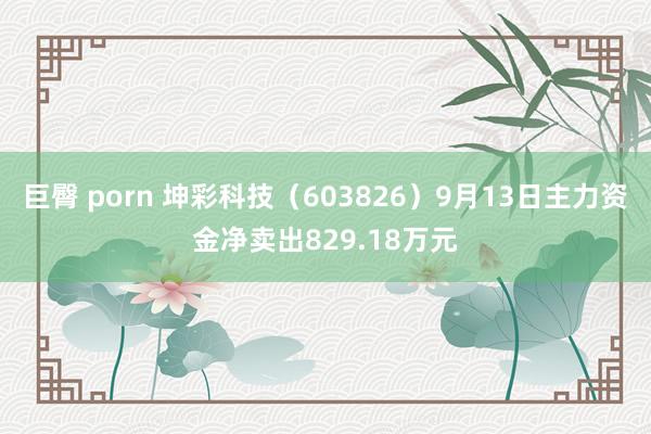 巨臀 porn 坤彩科技（603826）9月13日主力资金净卖出829.18万元