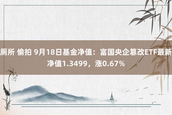 厕所 偷拍 9月18日基金净值：富国央企篡改ETF最新净值1.3499，涨0.67%