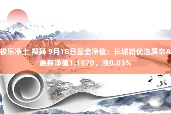 极乐净土 裸舞 9月18日基金净值：长城新优选羼杂A最新净值1.1878，涨0.03%