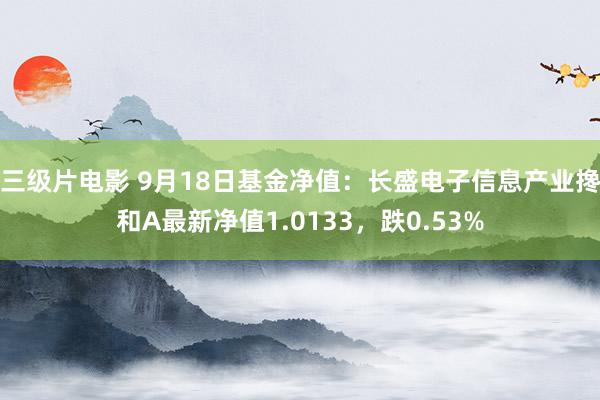 三级片电影 9月18日基金净值：长盛电子信息产业搀和A最新净值1.0133，跌0.53%