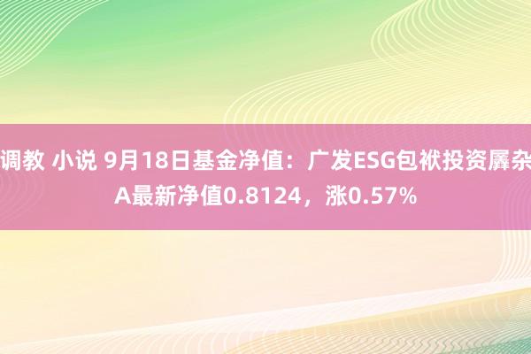 调教 小说 9月18日基金净值：广发ESG包袱投资羼杂A最新净值0.8124，涨0.57%