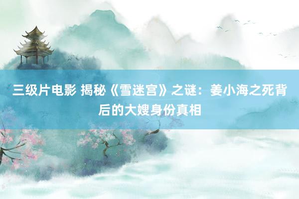 三级片电影 揭秘《雪迷宫》之谜：姜小海之死背后的大嫂身份真相