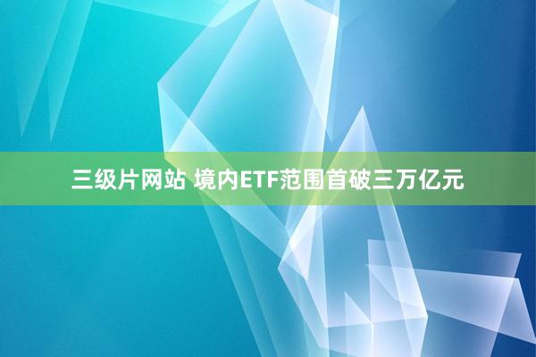 三级片网站 境内ETF范围首破三万亿元