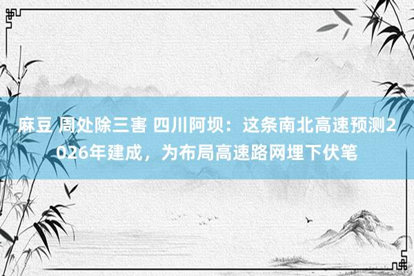 麻豆 周处除三害 四川阿坝：这条南北高速预测2026年建成，为布局高速路网埋下伏笔