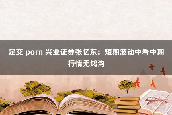 足交 porn 兴业证券张忆东：短期波动中看中期行情无鸿沟