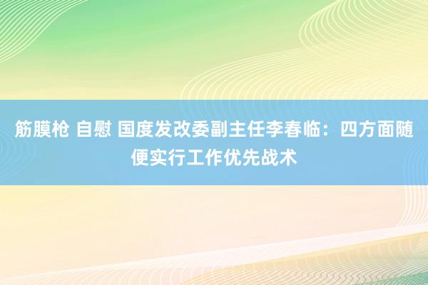 筋膜枪 自慰 国度发改委副主任李春临：四方面随便实行工作优先战术