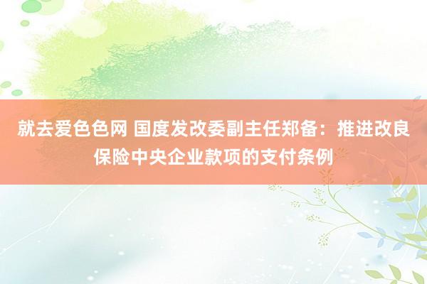 就去爱色色网 国度发改委副主任郑备：推进改良保险中央企业款项的支付条例