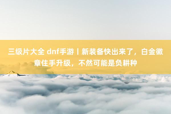 三级片大全 dnf手游丨新装备快出来了，白金徽章住手升级，不然可能是负耕种