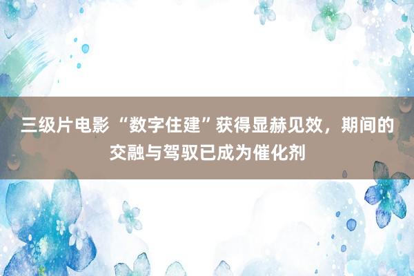 三级片电影 “数字住建”获得显赫见效，期间的交融与驾驭已成为催化剂