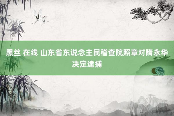 黑丝 在线 山东省东说念主民稽查院照章对隋永华决定逮捕