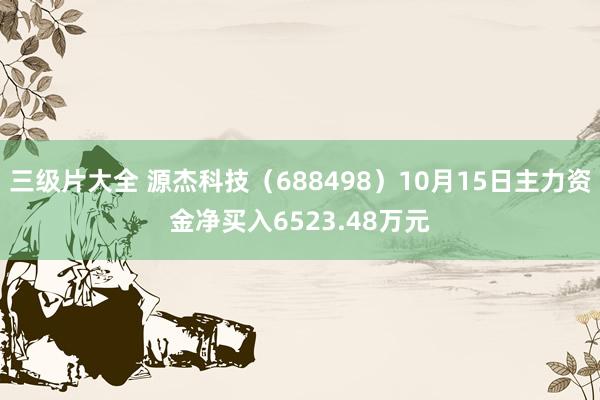 三级片大全 源杰科技（688498）10月15日主力资金净买入6523.48万元