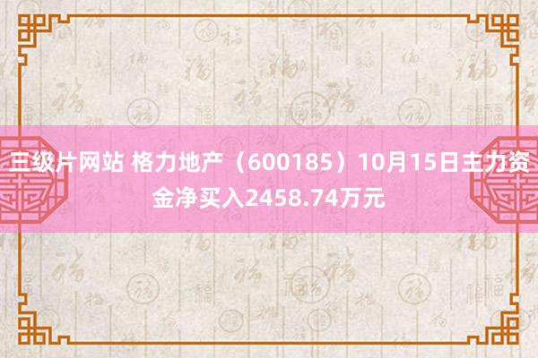 三级片网站 格力地产（600185）10月15日主力资金净买入2458.74万元