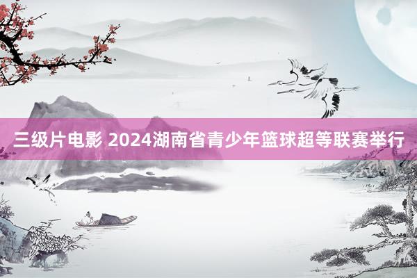 三级片电影 2024湖南省青少年篮球超等联赛举行