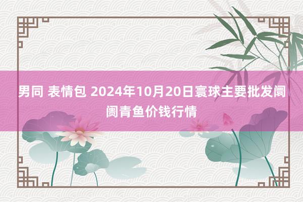 男同 表情包 2024年10月20日寰球主要批发阛阓青鱼价钱行情