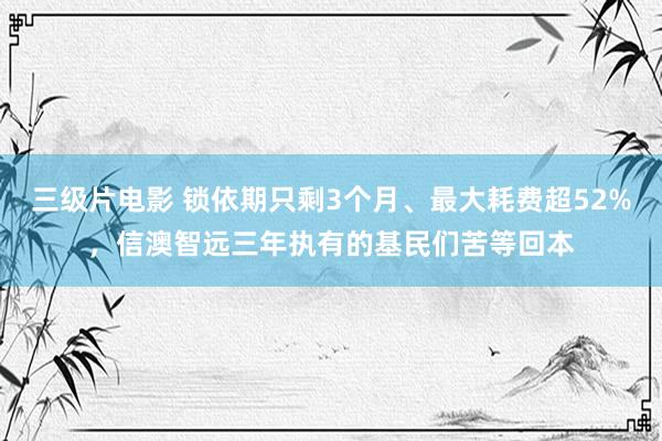 三级片电影 锁依期只剩3个月、最大耗费超52%，信澳智远三年执有的基民们苦等回本