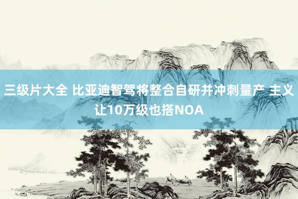 三级片大全 比亚迪智驾将整合自研并冲刺量产 主义让10万级也搭NOA