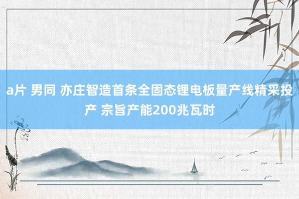 a片 男同 亦庄智造首条全固态锂电板量产线精采投产 宗旨产能200兆瓦时