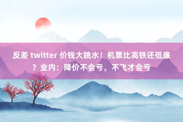 反差 twitter 价钱大跳水！机票比高铁还低廉？业内：降价不会亏，不飞才会亏