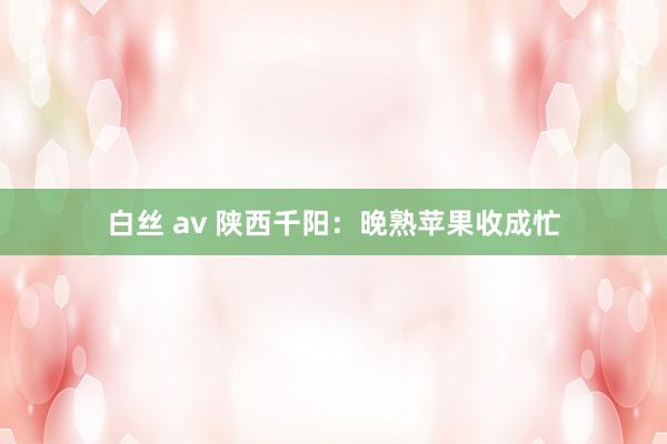 白丝 av 陕西千阳：晚熟苹果收成忙