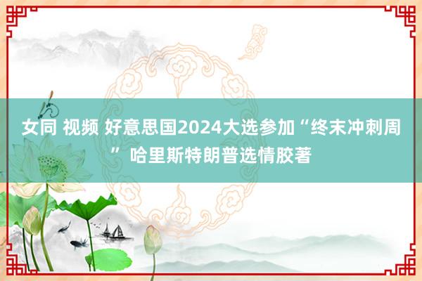 女同 视频 好意思国2024大选参加“终末冲刺周” 哈里斯特朗普选情胶著