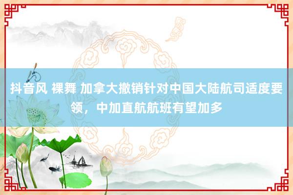 抖音风 裸舞 加拿大撤销针对中国大陆航司适度要领，中加直航航班有望加多