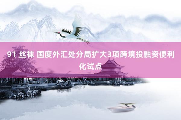 91 丝袜 国度外汇处分局扩大3项跨境投融资便利化试点