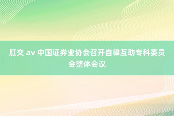 肛交 av 中国证券业协会召开自律互助专科委员会整体会议