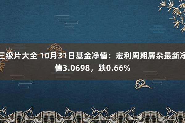 三级片大全 10月31日基金净值：宏利周期羼杂最新净值3.0698，跌0.66%