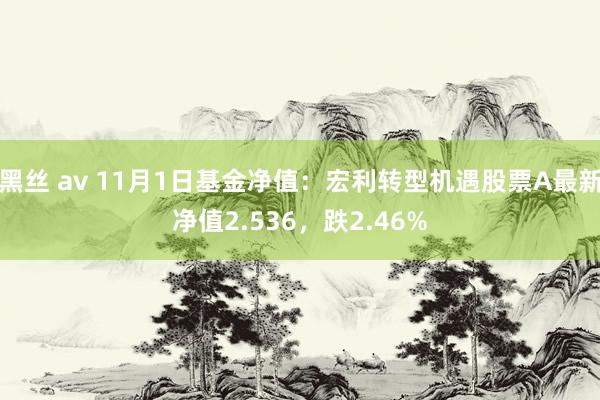 黑丝 av 11月1日基金净值：宏利转型机遇股票A最新净值2.536，跌2.46%