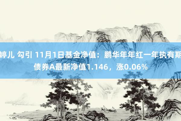 婷儿 勾引 11月1日基金净值：鹏华年年红一年执有期债券A最新净值1.146，涨0.06%