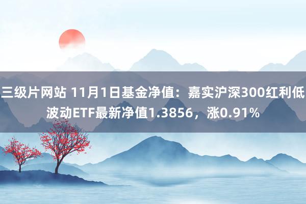 三级片网站 11月1日基金净值：嘉实沪深300红利低波动ETF最新净值1.3856，涨0.91%