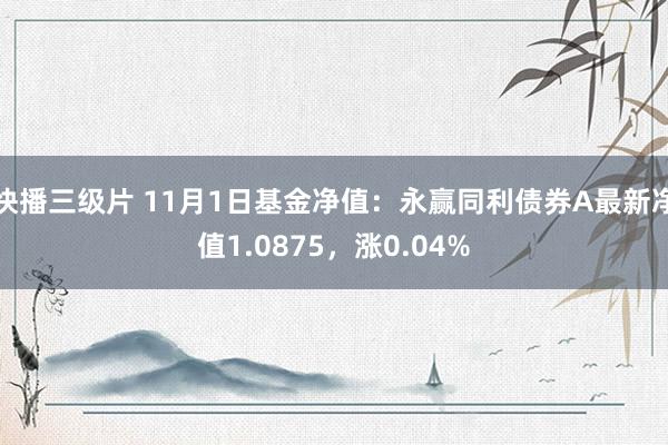 快播三级片 11月1日基金净值：永赢同利债券A最新净值1.0875，涨0.04%