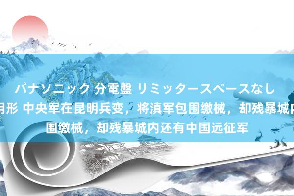 パナソニック 分電盤 リミッタースペースなし 露出・半埋込両用形 中央军在昆明兵变，将滇军包围缴械，却残暴城内还有中国远征军