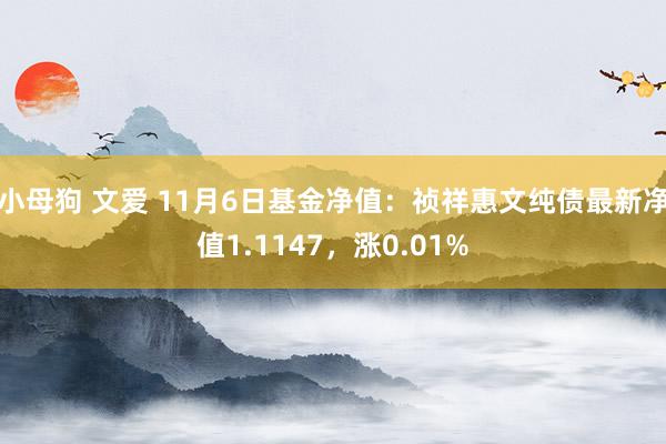 小母狗 文爱 11月6日基金净值：祯祥惠文纯债最新净值1.1147，涨0.01%