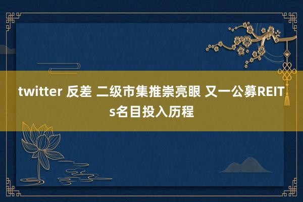 twitter 反差 二级市集推崇亮眼 又一公募REITs名目投入历程