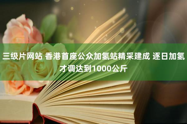 三级片网站 香港首座公众加氢站精采建成 逐日加氢才调达到1000公斤