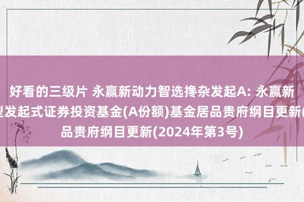 好看的三级片 永赢新动力智选搀杂发起A: 永赢新动力智选搀杂型发起式证券投资基金(A份额)基金居品贵府纲目更新(2024年第3号)