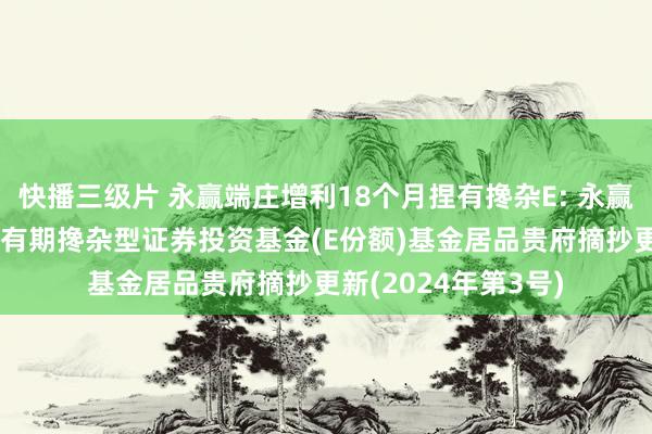 快播三级片 永赢端庄增利18个月捏有搀杂E: 永赢端庄增利18个月捏有期搀杂型证券投资基金(E份额)基金居品贵府摘抄更新(2024年第3号)