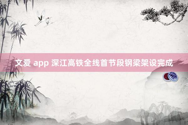 文爱 app 深江高铁全线首节段钢梁架设完成