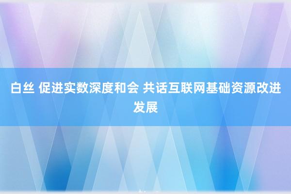 白丝 促进实数深度和会 共话互联网基础资源改进发展