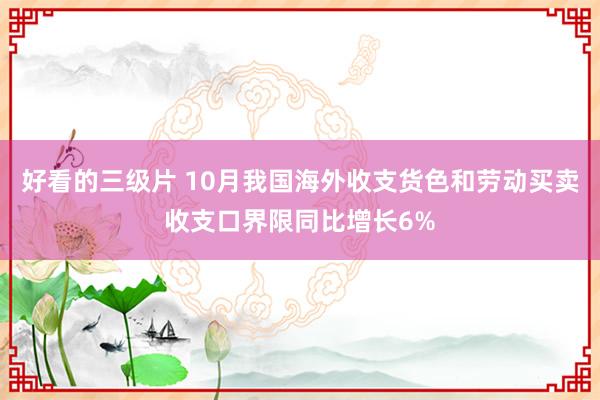 好看的三级片 10月我国海外收支货色和劳动买卖收支口界限同比增长6%