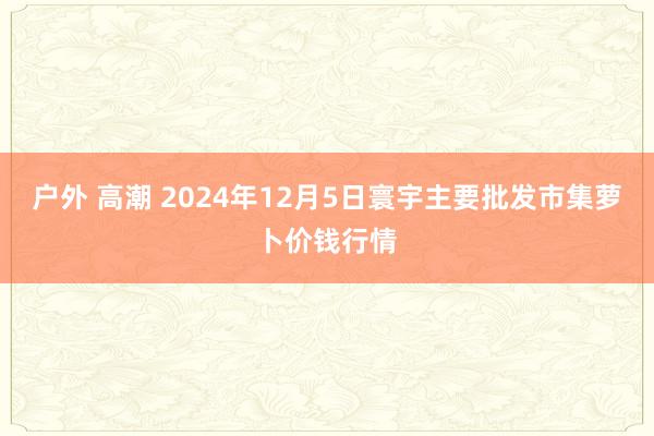 户外 高潮 2024年12月5日寰宇主要批发市集萝卜价钱行情