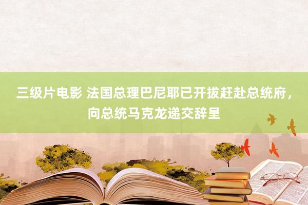 三级片电影 法国总理巴尼耶已开拔赶赴总统府，向总统马克龙递交辞呈