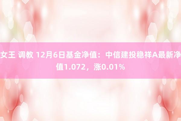 女王 调教 12月6日基金净值：中信建投稳祥A最新净值1.072，涨0.01%