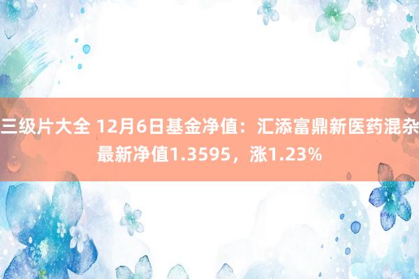 三级片大全 12月6日基金净值：汇添富鼎新医药混杂最新净值1.3595，涨1.23%