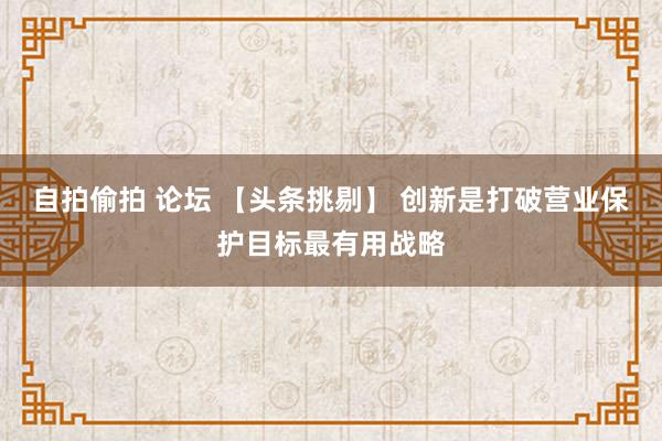 自拍偷拍 论坛 【头条挑剔】 创新是打破营业保护目标最有用战略