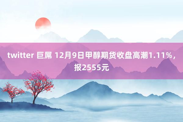 twitter 巨屌 12月9日甲醇期货收盘高潮1.11%，报2555元