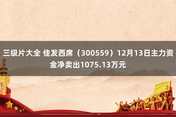 三级片大全 佳发西席（300559）12月13日主力资金净卖出1075.13万元