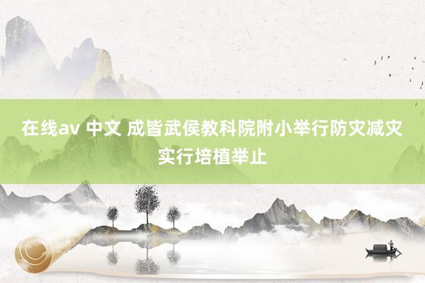 在线av 中文 成皆武侯教科院附小举行防灾减灾实行培植举止